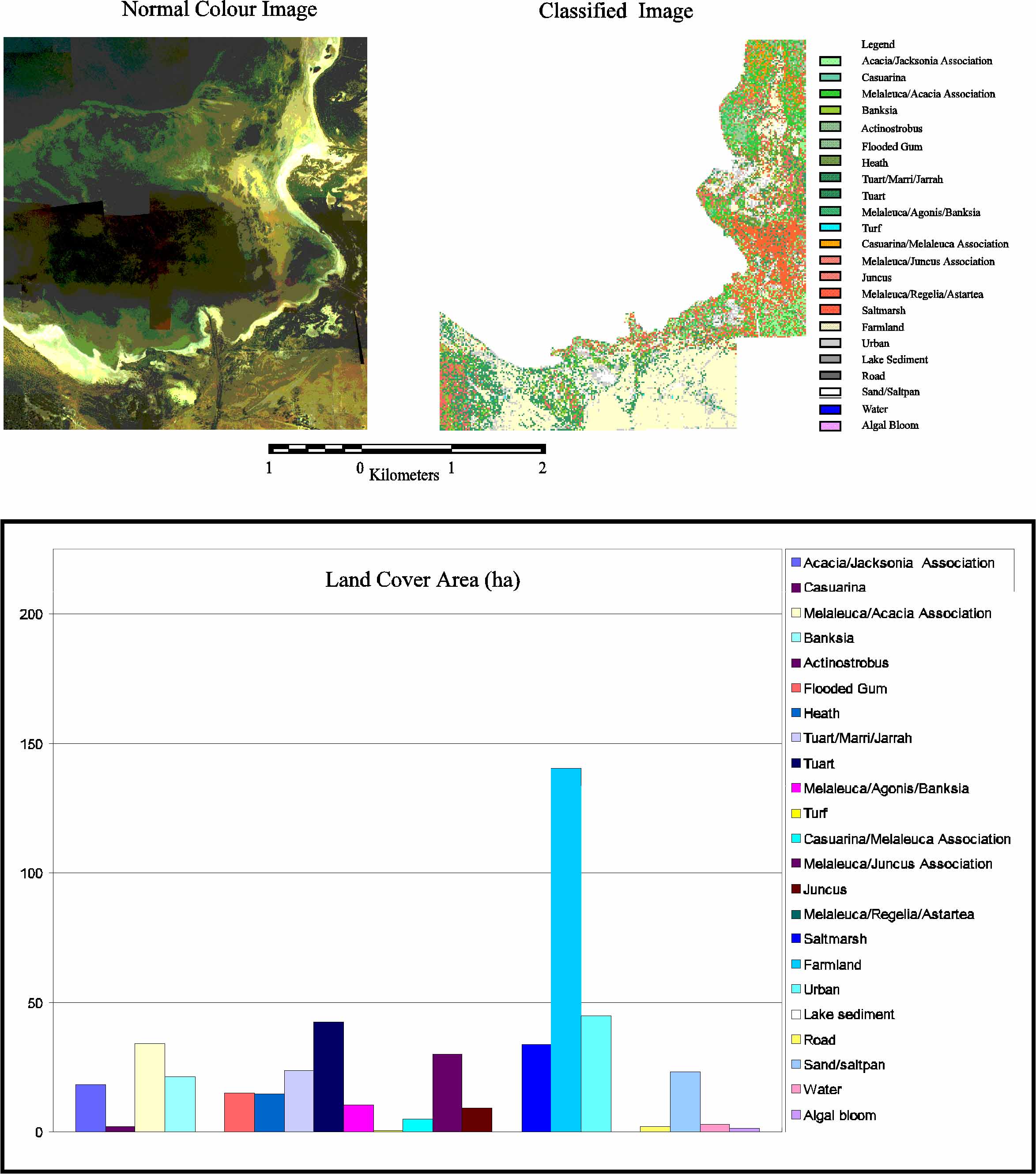 Normal Image, vegetation map and land cover classes of Austin Bay