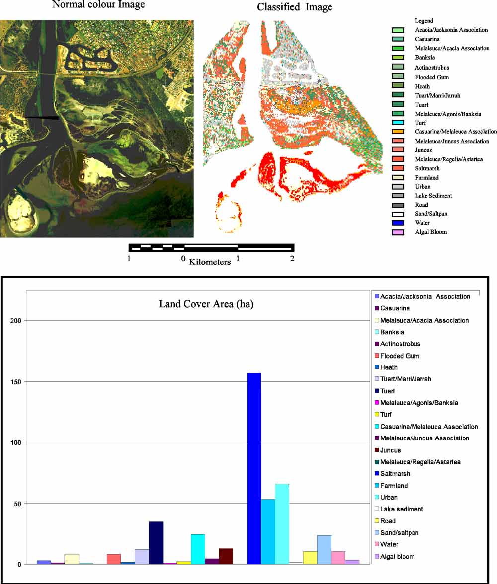 Normal image, vegetation map and land cover classes of Creery Wetlands.