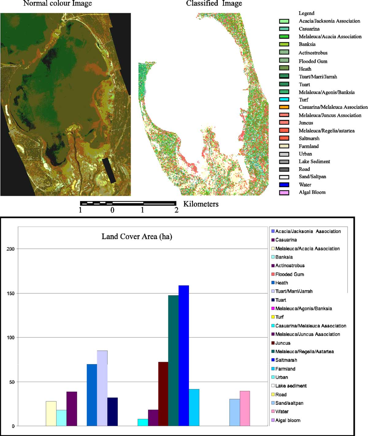 Normal image, vegetation map and land cover class area of Harvey River Delta