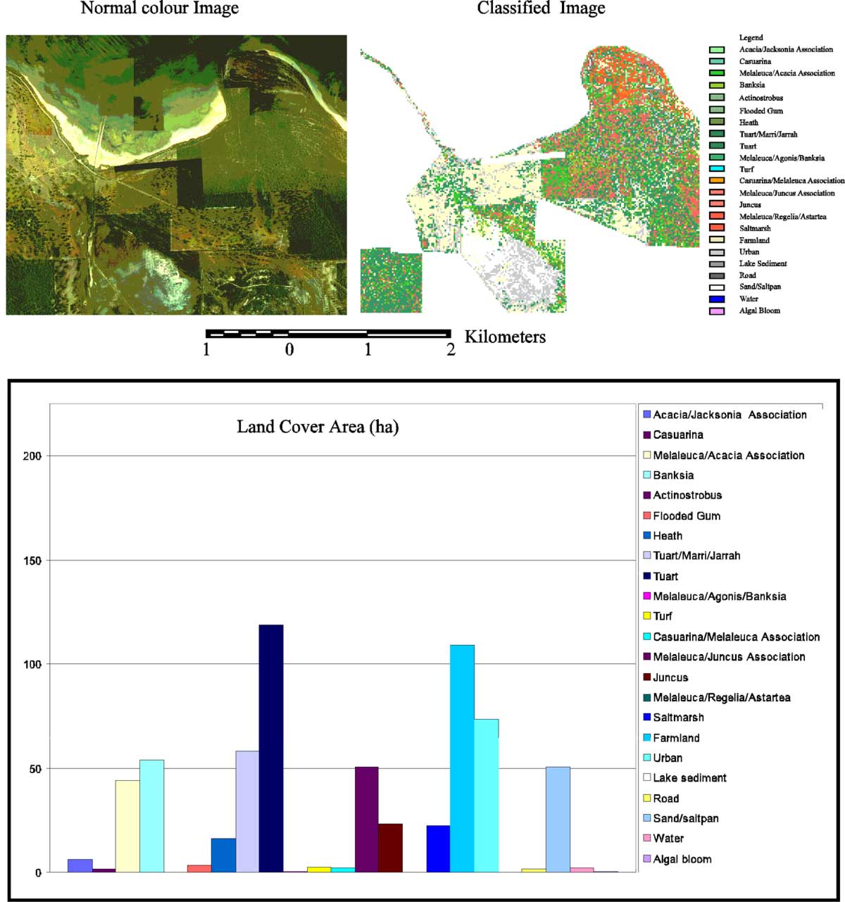 Normal image, vegetation map and land cover class area of Roberts Bay