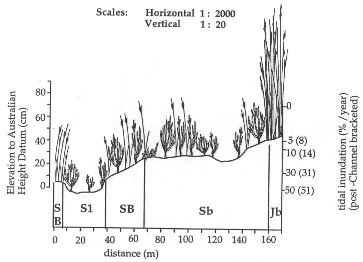 Figure 4.2