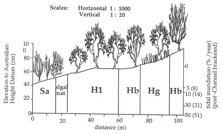 Figure 4.3