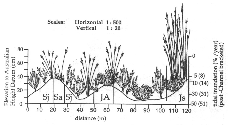 Figure 4.4