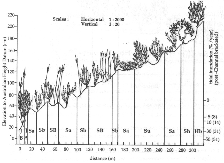 Figure 4.5