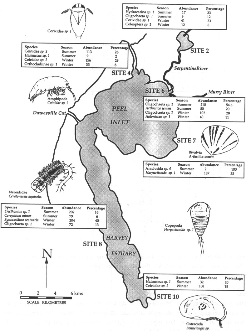 Figure 5.7