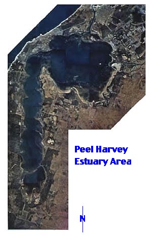 slide01.jpg (34690 bytes)