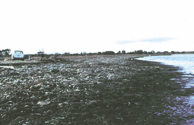 slide03.jpg (50675 bytes)