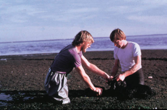 slide02.jpg (86423 bytes)