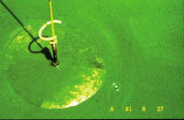 slide07.jpg (86423 bytes)