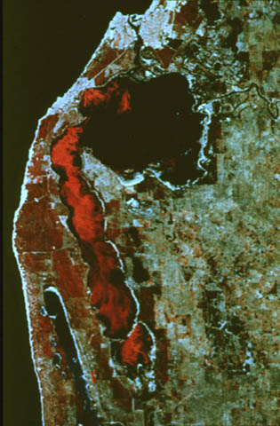 slide08.jpg (86423 bytes)