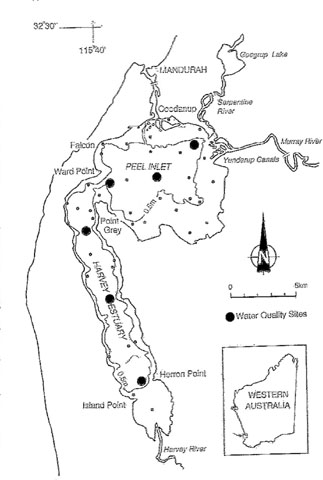 slide09.jpg (86423 bytes)