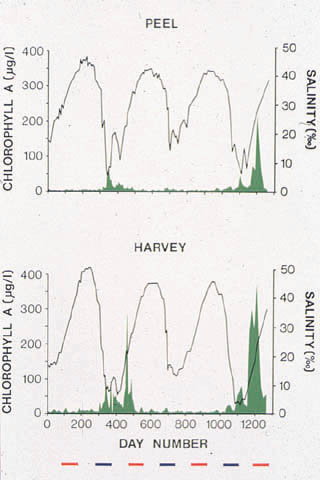 slide10.jpg (86423 bytes)