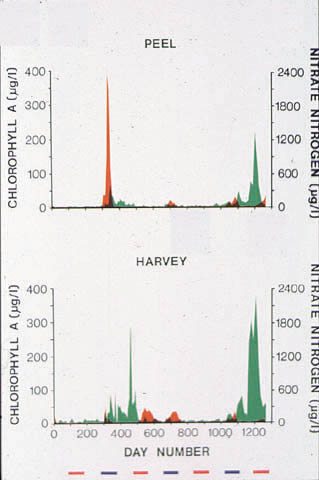 slide11.jpg (86423 bytes)