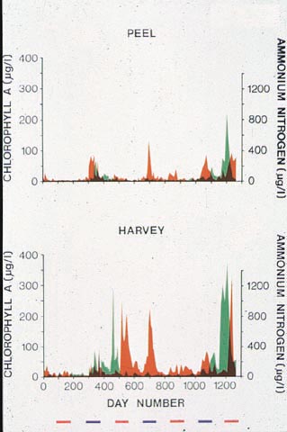 slide12.jpg (86423 bytes)