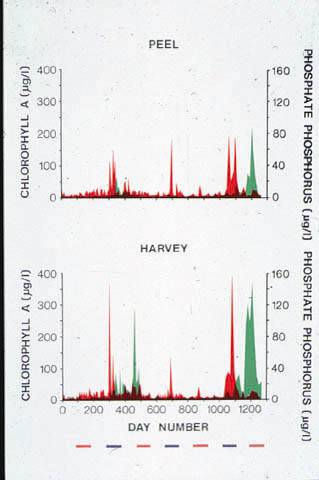 slide13.jpg (86423 bytes)