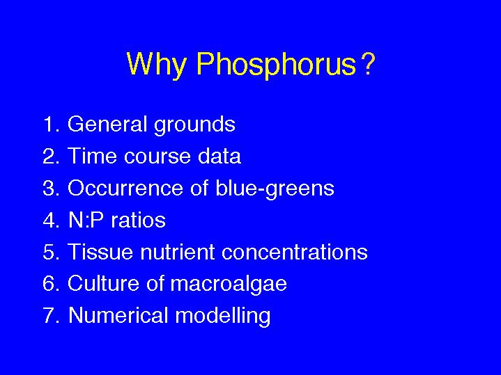 slide15.jpg (86423 bytes)