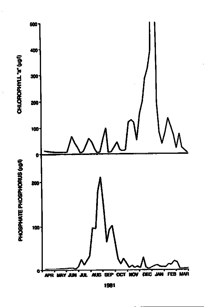 slide16.jpg (86423 bytes)
