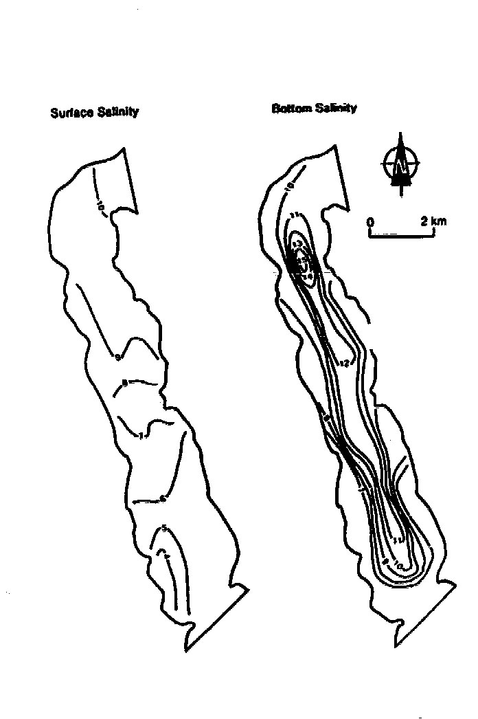 slide17.jpg (86423 bytes)