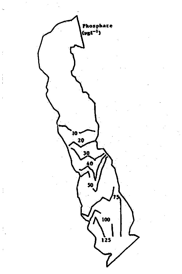 slide18.jpg (86423 bytes)