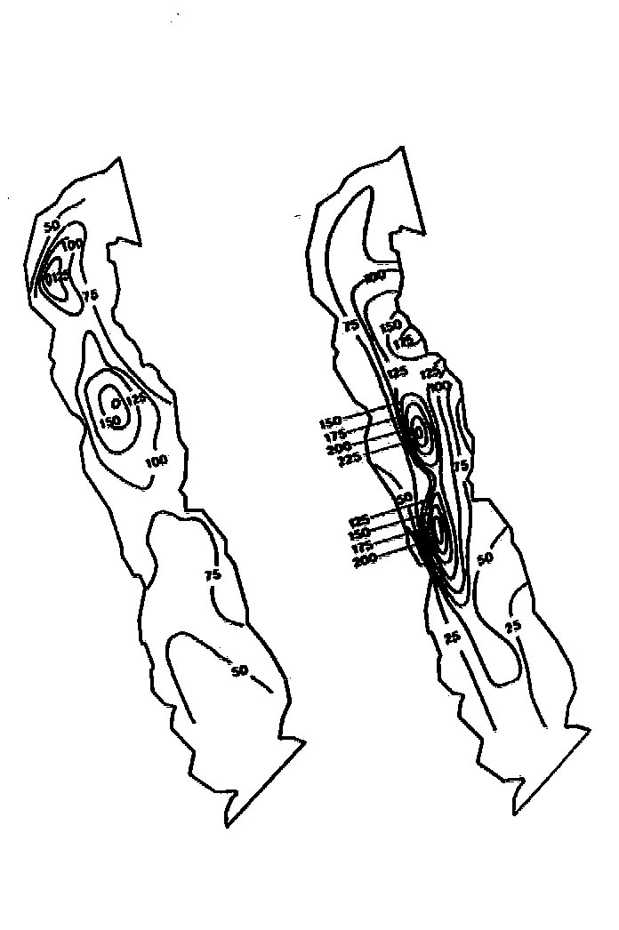 slide19.jpg (86423 bytes)