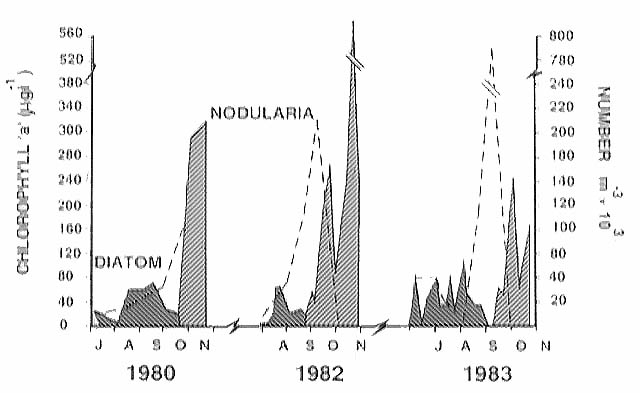 slide20.jpg (86423 bytes)