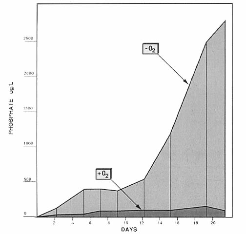 slide21.jpg (86423 bytes)