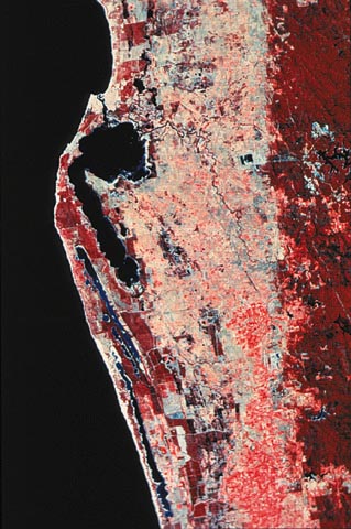 slide22.jpg (86423 bytes)