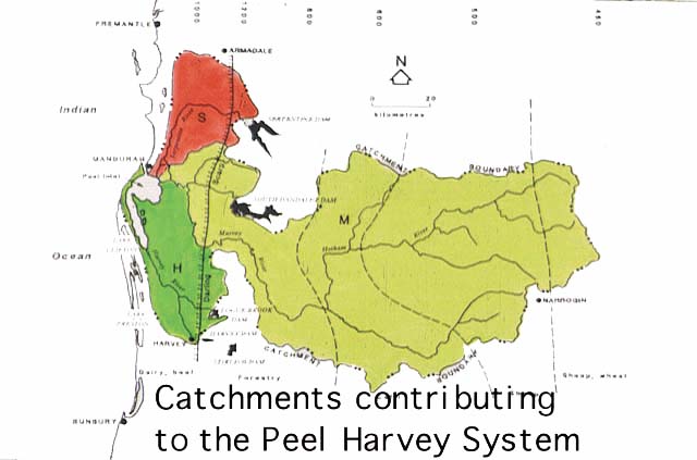 slide23.jpg (86423 bytes)