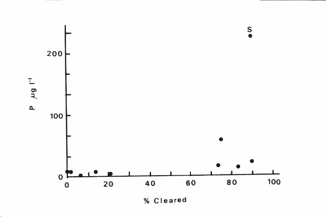 slide25.jpg (86423 bytes)