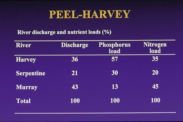 slide26.jpg (86423 bytes)