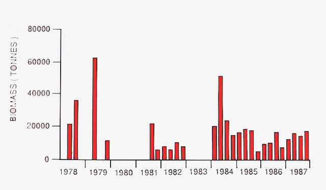 slide27.jpg (86423 bytes)