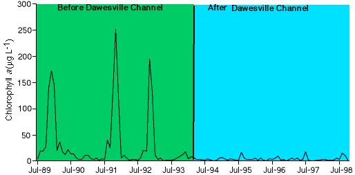 slide33.jpg (86423 bytes)